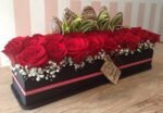 Red Roses Garden