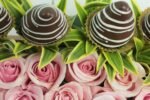 Roses Garden - Image 3