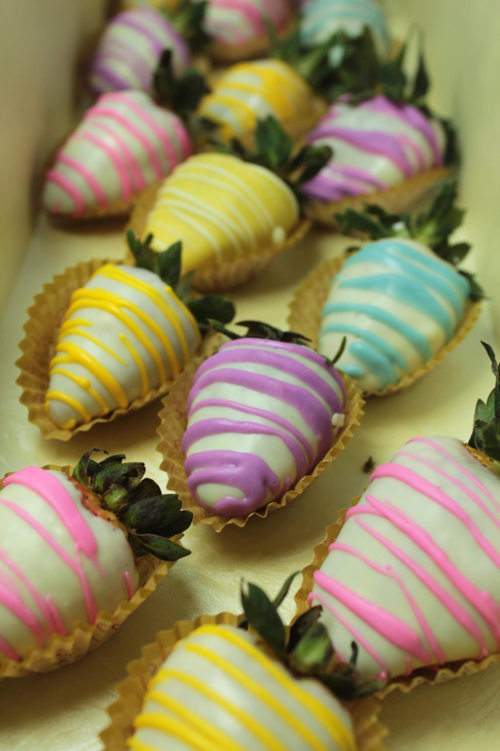 IMG_4672-min Strawberry and Colors - Image 1