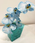 Elegance in Orchids